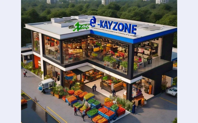 eKayzone: Revolutionizing the Economy of Patna, Bihar's Business Hub